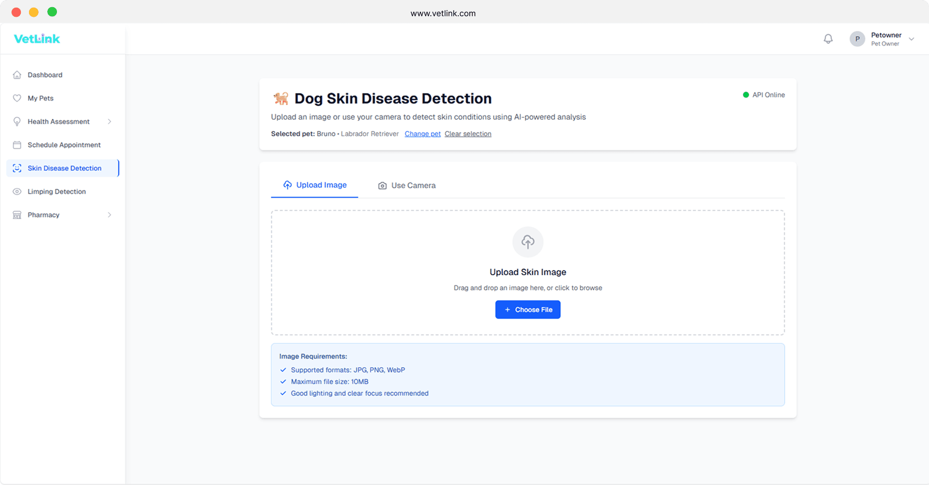 VetLink dog skin disease detection screen with image upload and camera options and image requirements