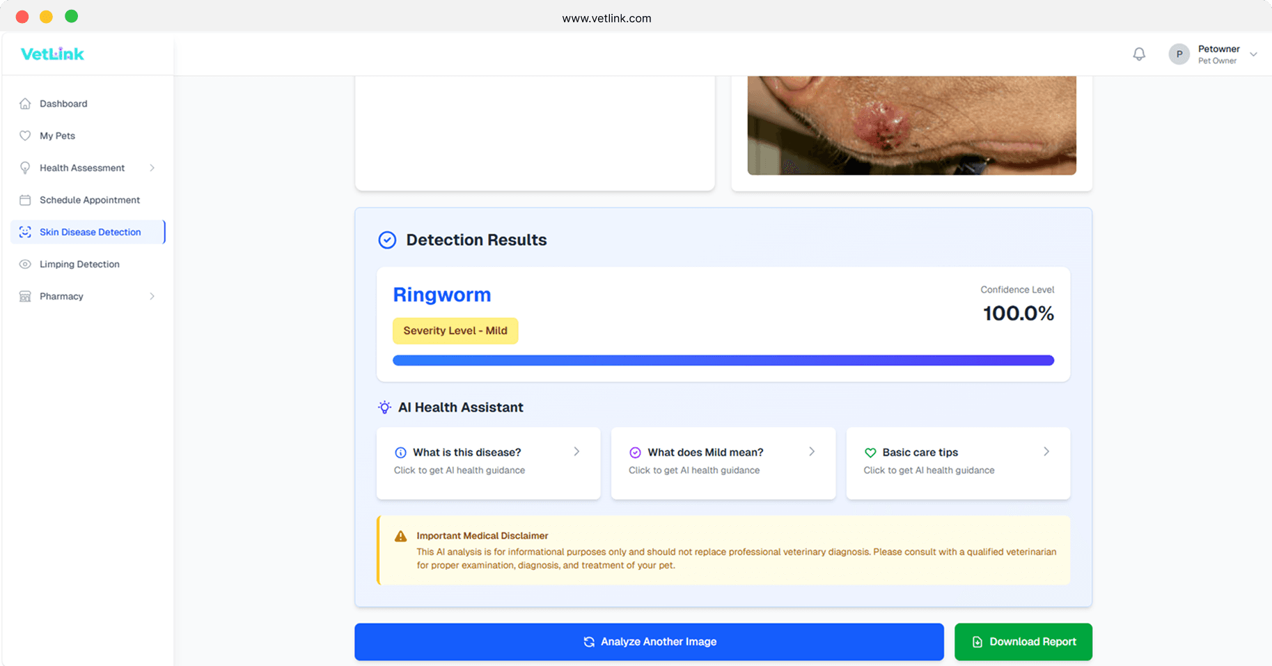 VetLink detection results showing a predicted condition, severity level, confidence bar, AI health assistant prompts and a medical disclaimer